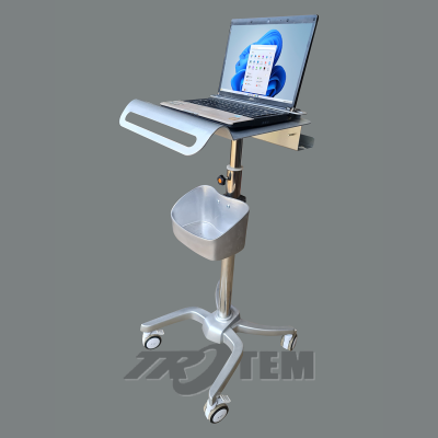 Trolley laptop 14 inch STM